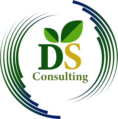 ds_consulting